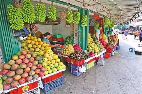 海南水果市场爆料案件最新,揭露背后利益链与食品安全危机 第2张 海南水果市场爆料案件最新,揭露背后利益链与食品安全危机 第2张